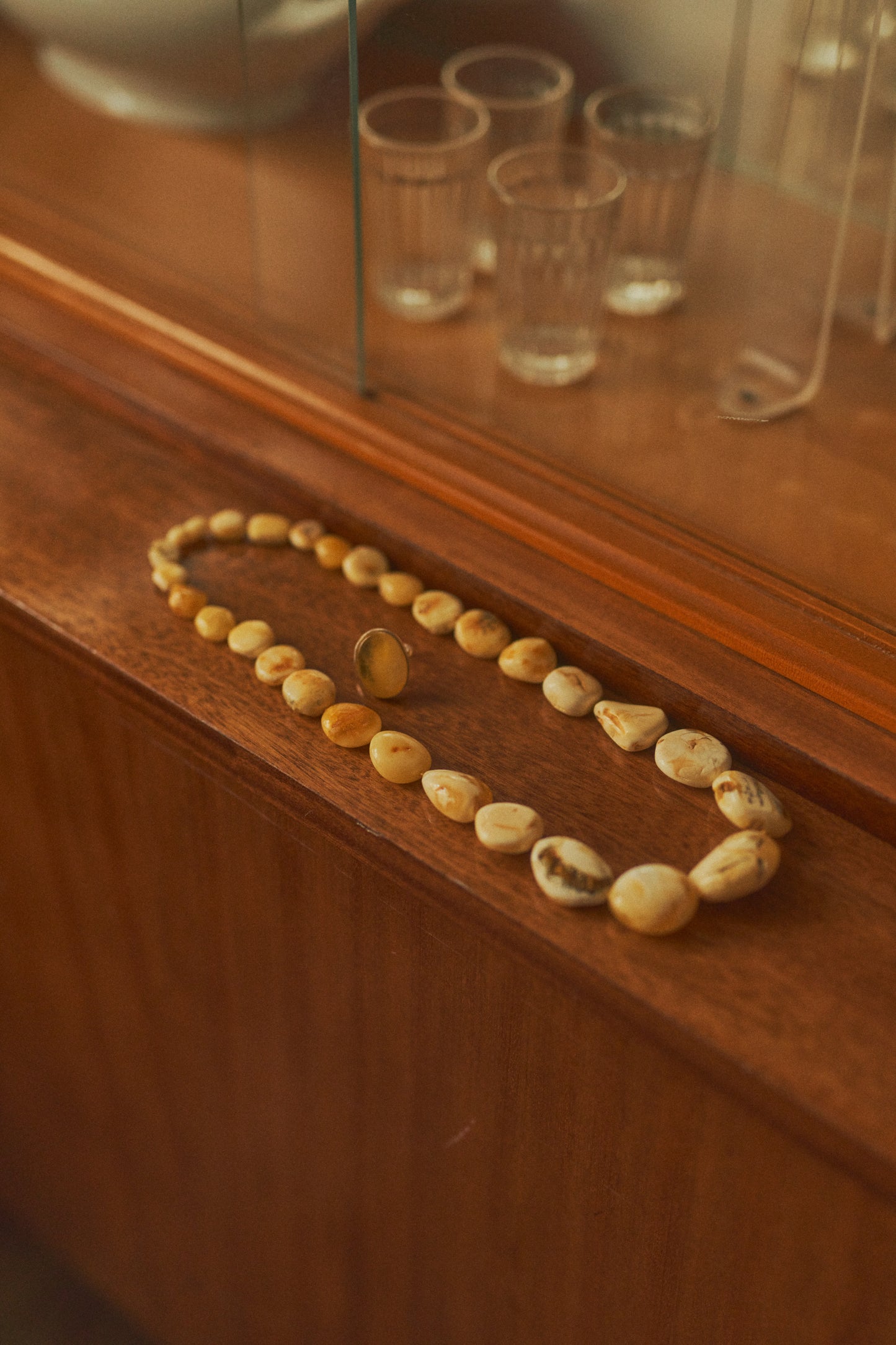Mysterious shell-like amber necklace